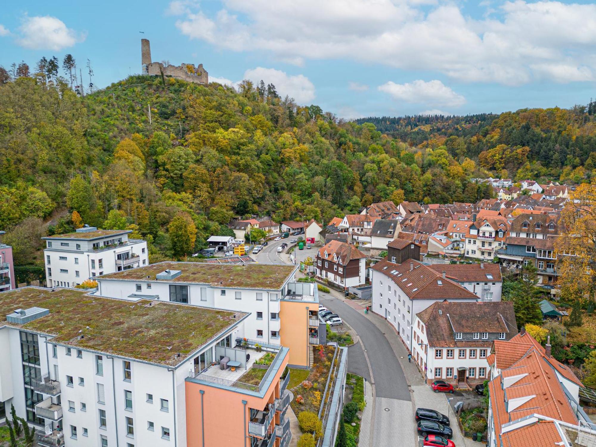 Lit Living Weinheim Altstadt - Boutique Apartments - Parking ภายนอก รูปภาพ